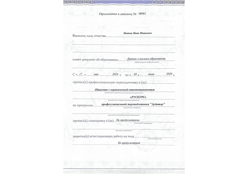 Диплом профессиональной переподготовки Аудитор 3