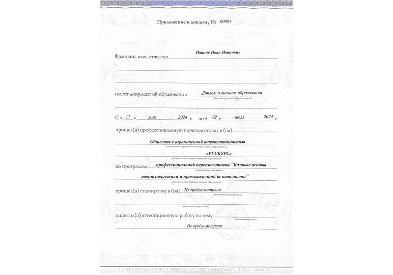 Диплом профессиональной переподготовки Базовые основы теплоэнергетики и промышленной безопасности 3