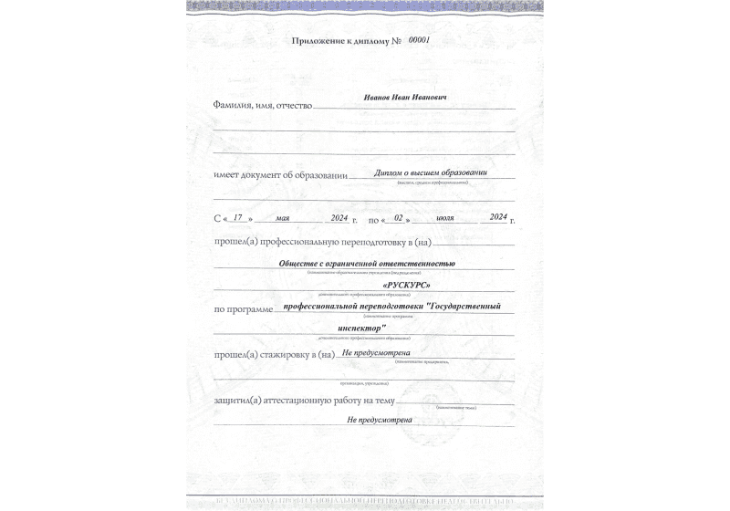 Диплом профессиональной переподготовки Государственный инспектор 3