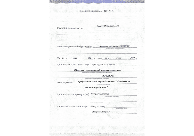 Диплом профессиональной переподготовки Менеджер по выездным продажам 3