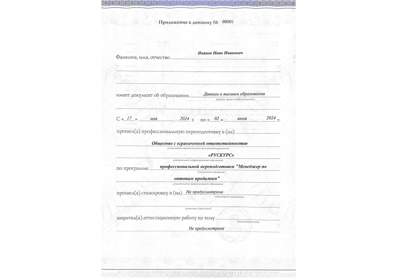 Диплом профессиональной переподготовки Менеджер по оптовым продажам 3