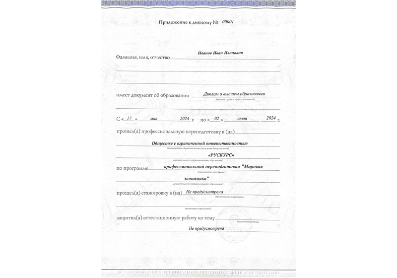 Диплом профессиональной переподготовки Мировая экономика 3