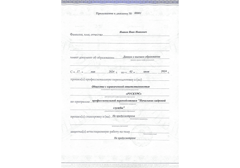Диплом профессиональной переподготовки Начальник кадровой службы 3