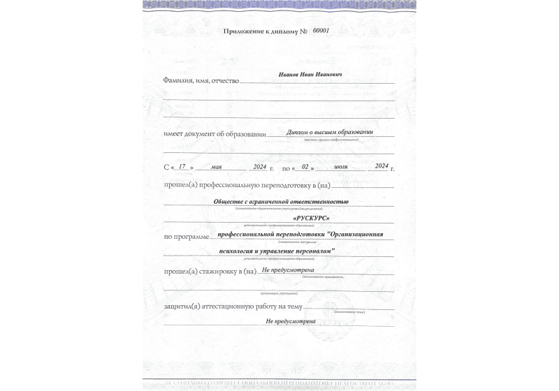 Диплом профессиональной переподготовки Организационная психология и управление персоналом 3
