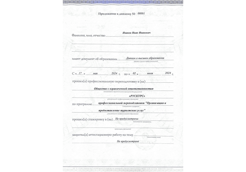 Диплом профессиональной переподготовки Организация и предоставление туристских услуг 3