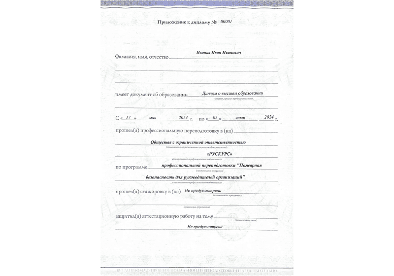 Диплом профессиональной переподготовки Пожарная безопасность для руководителей организаций 3