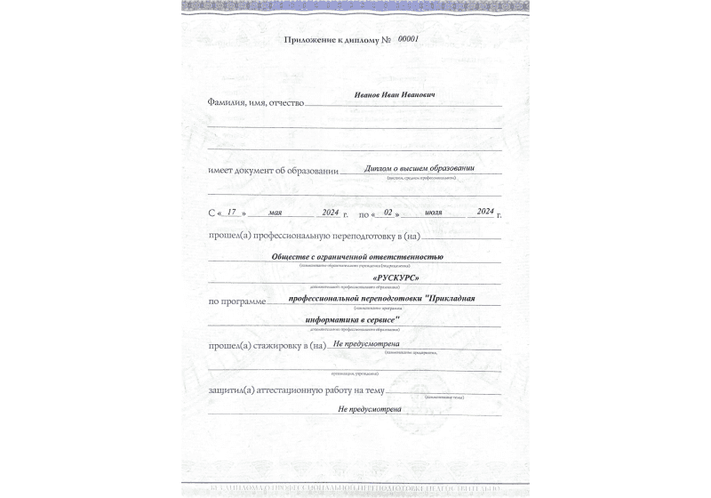 Диплом профессиональной переподготовки Прикладная информатика в сервисе 3