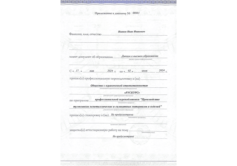 Диплом профессиональной переподготовки Производство тугоплавких неметаллических и силикатных материалов и изделий 3
