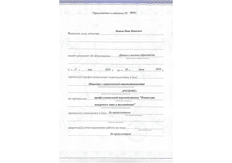 Диплом профессиональной переподготовки Режиссура неигрового кино и телевидения 3