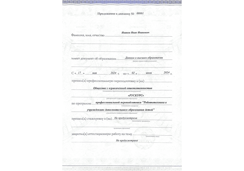 Диплом профессиональной переподготовки Робототехника в учреждениях дополнительного образования детей 3