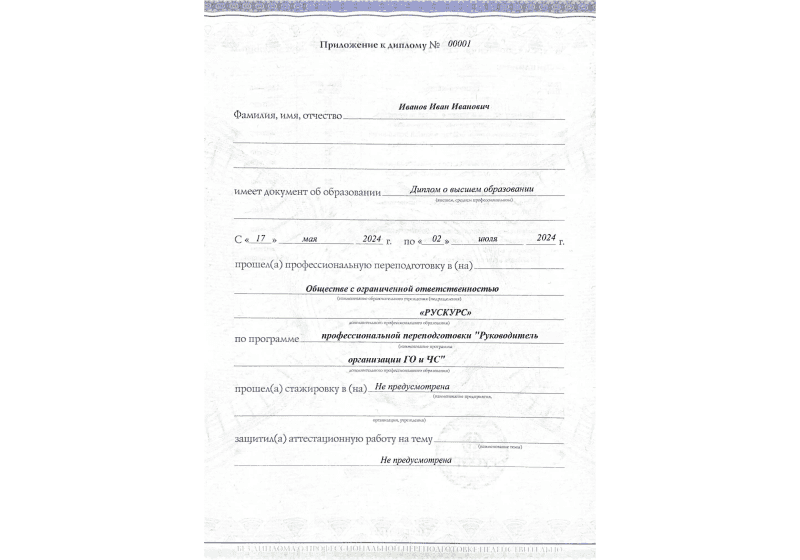 Диплом профессиональной переподготовки Руководитель организации ГО и ЧС 3