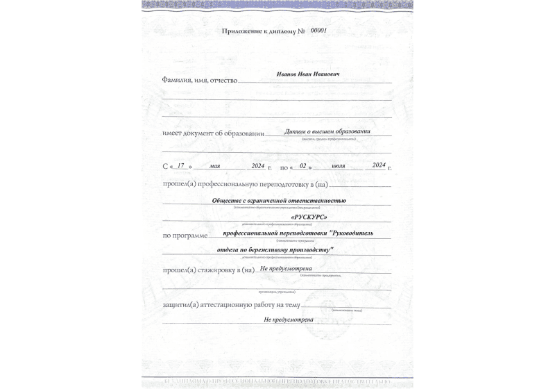 Диплом профессиональной переподготовки Руководитель отдела по бережливому производству 3