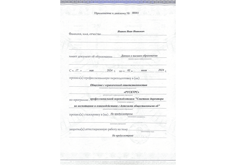 Диплом профессиональной переподготовки Советник директора по воспитанию и взаимодействию с детскими общественными об 3