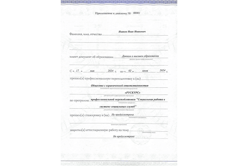 Диплом профессиональной переподготовки Социальная работа в системе социальных служб 3