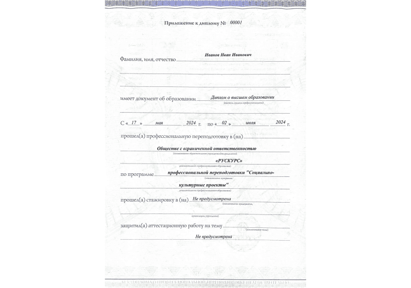 Диплом профессиональной переподготовки Социально-культурные проекты 3