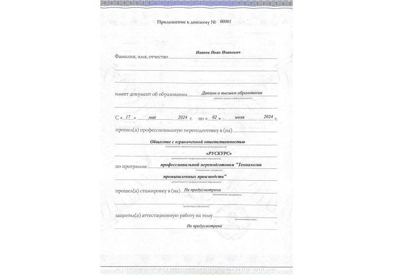 Диплом профессиональной переподготовки Технологии промышленных производств 3