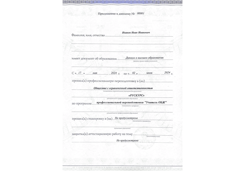 Диплом профессиональной переподготовки Учитель ОБЖ 3