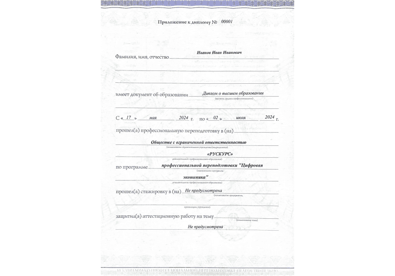 Диплом профессиональной переподготовки Цифровая экономика 3